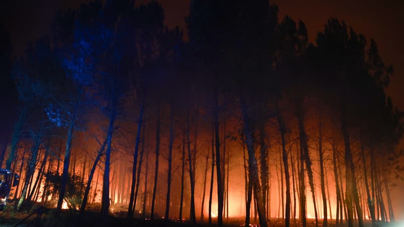 6b9eb84e-bb86-45b6-a914-dfa753c8c1fb Incendie de forêt dans les Landes : État des lieux et actions
