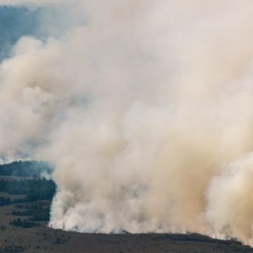 6c9b9e00-f42f-41c1-9729-9acc8144e572 L’incendie en Belgique menace de franchir la frontière vers l’Allemagne
