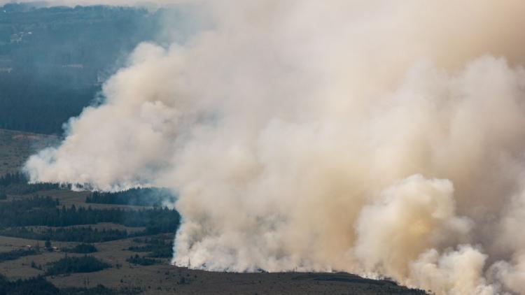 6c9b9e00-f42f-41c1-9729-9acc8144e572 L’incendie en Belgique menace de franchir la frontière vers l’Allemagne
