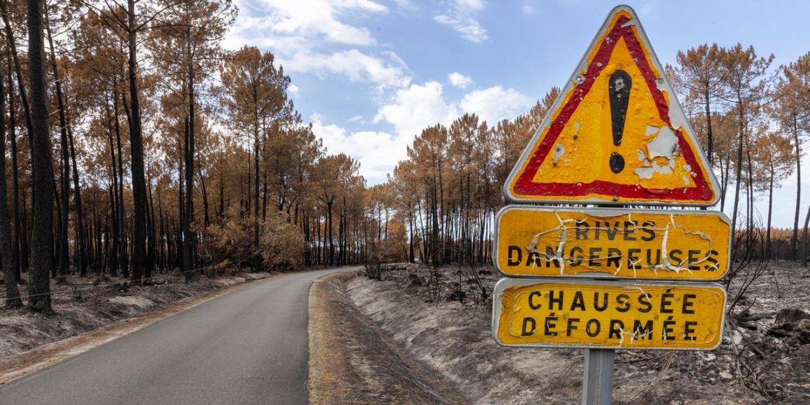 La gestion des incendies par les maires des Landes