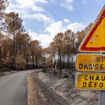 6f502946-087a-43e2-8047-040b8fef00b8 La gestion des incendies par les maires des Landes