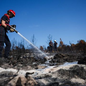 7413bdd7-0d08-4f45-9d88-f28667c1bf5c Les incendies en Gironde et dans le Var : gestion des crises et reconstruction