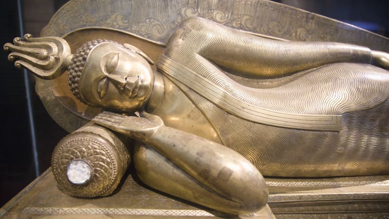 7a2ef0da-c239-4dc5-a838-c2f5401613a2 Découverte de Statues de Bouddha au Sri Lanka