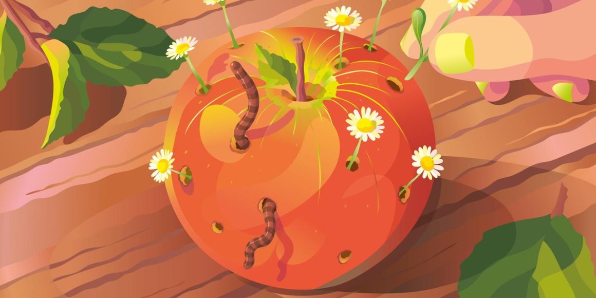 7bc039d8-7994-4c34-978e-f9b91700f6c8 L’agriculture biologique : un atout pour la transition écologique