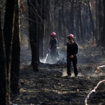 7d181d4b-7aba-45dc-92fb-ef31c8cc731b Déclarations de Sinistre : Prolongation Accordée pour les Victimes de l’Incendie en Gironde