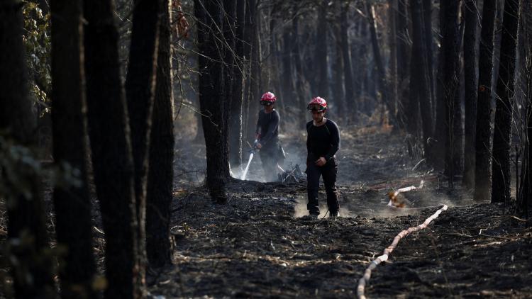 7d181d4b-7aba-45dc-92fb-ef31c8cc731b Déclarations de Sinistre : Prolongation Accordée pour les Victimes de l’Incendie en Gironde