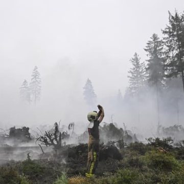 81a6b4af-6ba0-4599-9e0c-92930b647752 Incendie dans la réserve des Hautes Fagnes en Belgique