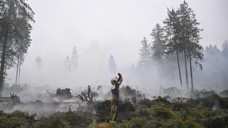 81a6b4af-6ba0-4599-9e0c-92930b647752 Incendie dans la réserve des Hautes Fagnes en Belgique