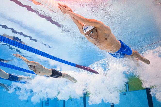 82ecd7d5-d693-415e-a5b6-00c396c4fde5 Retour sur l’Euro de natation 2026 et les performances françaises