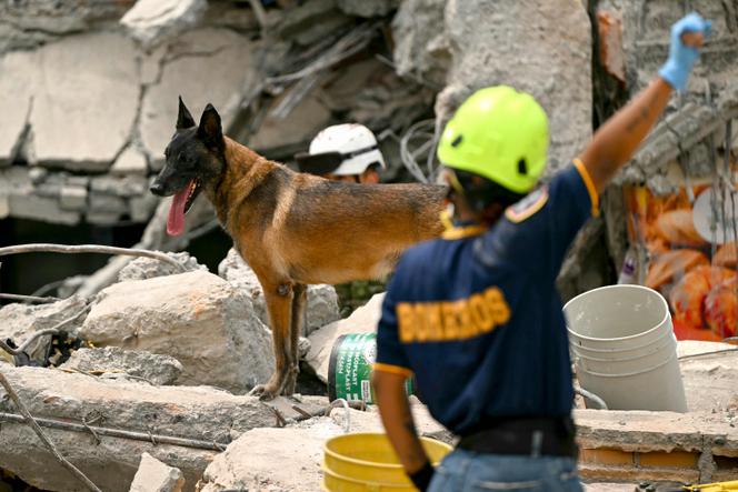 85cf401a-3889-4307-99e2-7419513fc9e7 Séisme en Colombie : Recherche et Dévastation