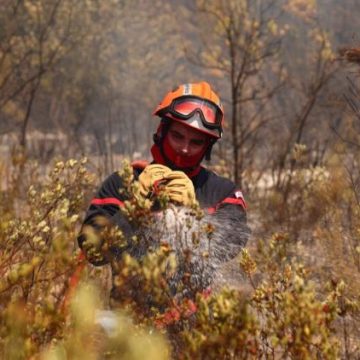 Les Épreuves Physiques des Candidats Pompiers en France