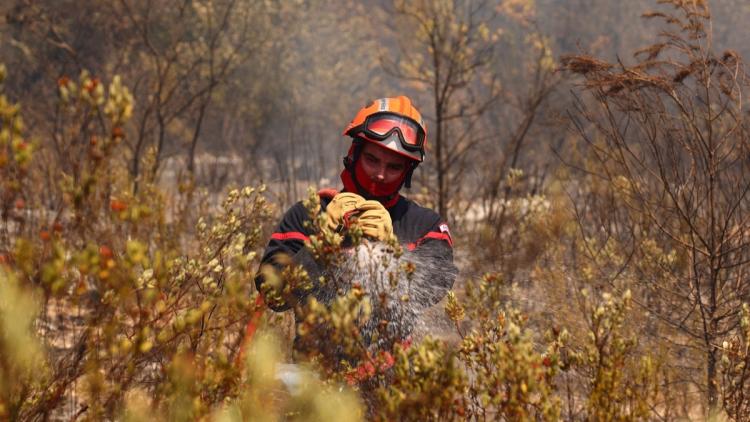86679019-5e21-4441-844f-b7fbd05427ed Les Épreuves Physiques des Candidats Pompiers en France