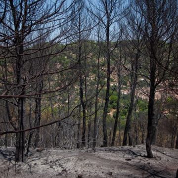 868561ad-5540-456d-8b57-1fa36e490716 Lutte contre l’incendie du Gros Bessillon : situation maîtrisée mais non éteinte