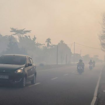 8eda3a6f-4648-44c8-98bd-06381678e4a1 Les incendies en Indonésie accentués par le phénomène climatique El Niño