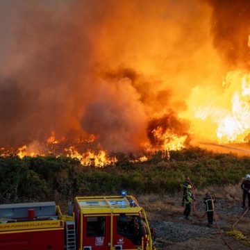 8faf5da6-c433-4ae8-87bf-269e86c0827b Un incendie de forêt accidentel causé par une ligne électrique à Saint-Just
