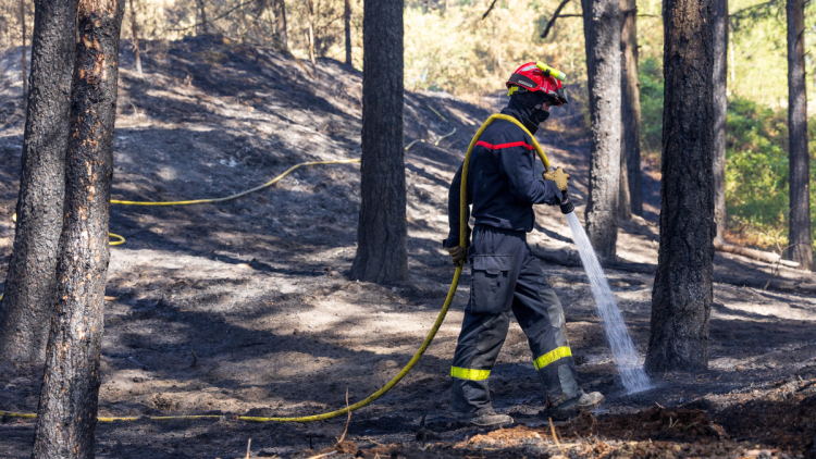 9032a6f0-b023-44a6-a9ed-e491f6ce4178 Origine des incendies dans le Pas-de-Calais