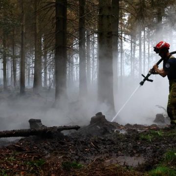 Incendie majeur dans les Hautes-Fagnes, Belgique