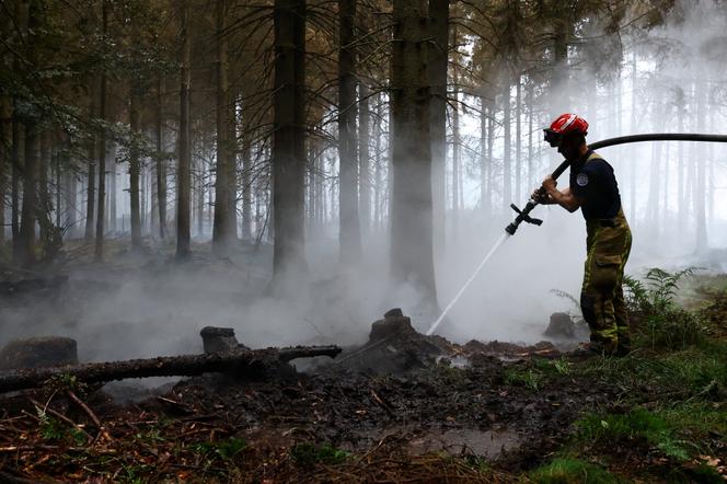 919f7a62-de14-4fd0-b74a-de9bc513a399 Incendie majeur dans les Hautes-Fagnes, Belgique
