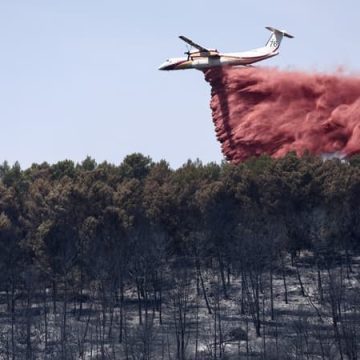 a0dc8de2-6a7a-440d-b0e5-e009e38db6dc Incendies dans le Var : Les pompiers contiennent les flammes