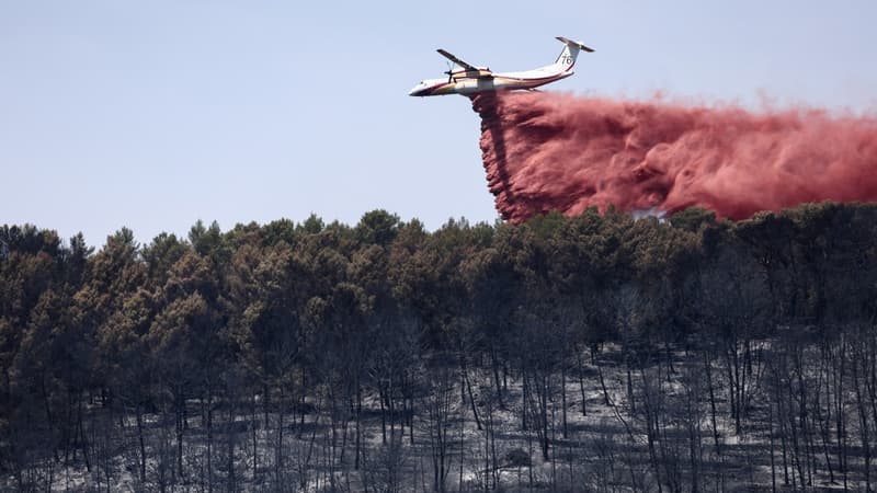 a0dc8de2-6a7a-440d-b0e5-e009e38db6dc Incendies dans le Var : Les pompiers contiennent les flammes