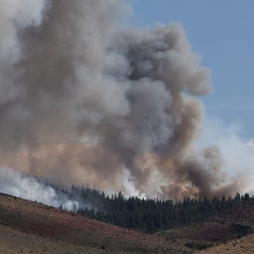 Incendie Hawk au Nevada : évacuation massive à Reno