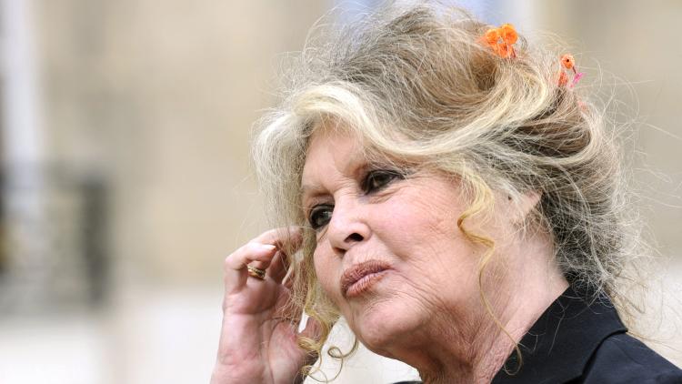 a40d1ec7-57de-4b92-8df5-929e42c22a08 Vente aux enchères des effets personnels de Brigitte Bardot