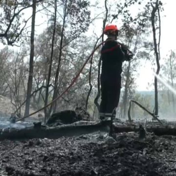 a5281e98-7cd1-4649-ba8c-ea67a0730d6d Lutte acharnée contre les incendies dans le Var