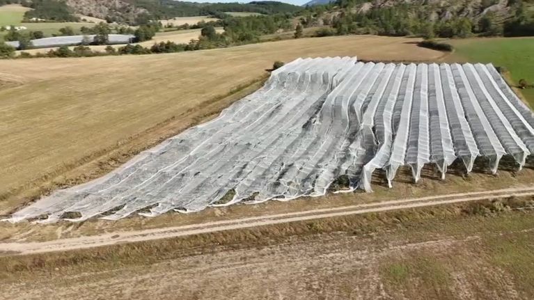 ad6f334f-327a-49fb-9457-acc92b22c667 Des orages dévastateurs à Trescléoux provoquent des pertes agricoles importantes