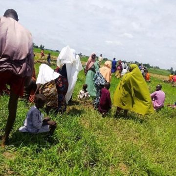 afb0db11-f222-4ce0-aedb-485a5b926b10 Violences au Nigeria : Conflits entre Éleveurs et Agriculteurs dans l’État du Plateau