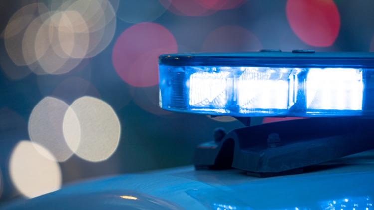 b0713f9c-1a2d-4d0d-9f93-6e1e5202b2e1 Deux suspects arrêtés au Luxembourg dans une affaire de meurtre en Afrique du Sud