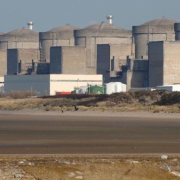 Fermeture Partielle de la Centrale de Gravelines à Cause des Méduses
