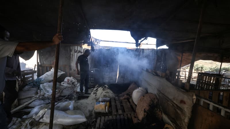 bf627b90-b0f4-4f01-9c26-e95f5f1c6f7b Intensification des violences en Cisjordanie occupée