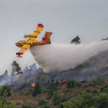 Tensions accrues autour des incendies en France
