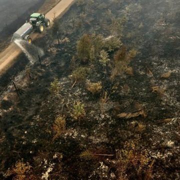 Actualités récentes: incendies, canicule, sports et piratages