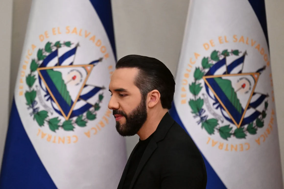 c6497135-b1c5-4571-b362-d5638c75572a Débat autour des panneaux publicitaires en hommage à Nayib Bukele à Oviedo