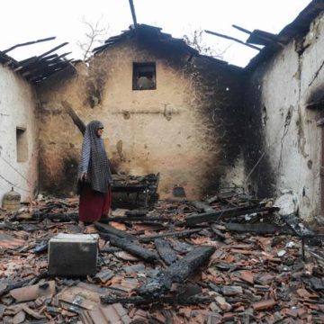 c69ac315-c37c-4c12-bb61-797e1df8f8e0 Incendies en Algérie : Destruction et Controverses
