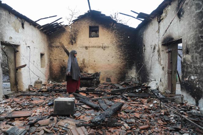 c69ac315-c37c-4c12-bb61-797e1df8f8e0 Incendies en Algérie : Destruction et Controverses