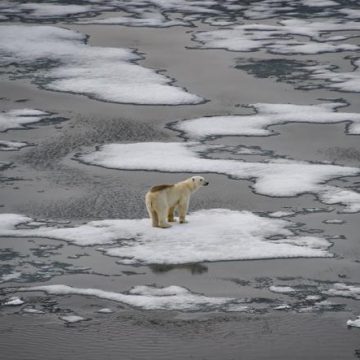 cf002895-319f-4493-ba78-2cb8b736f24e La publication du rapport sur l’Arctique annulée par la Maison Blanche