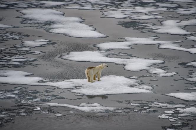 cf002895-319f-4493-ba78-2cb8b736f24e La publication du rapport sur l’Arctique annulée par la Maison Blanche