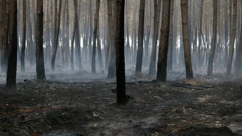 d0d7ab96-d2fd-4cdf-b4df-4369a16c138b Incendie en Gironde : Premiers Secours et Plan de Reconstruction