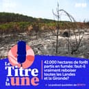 d325a71b-6702-41ae-9493-f6c92a64a8d1 L’État couvre les indemnités pour les entreprises touchées par les incendies