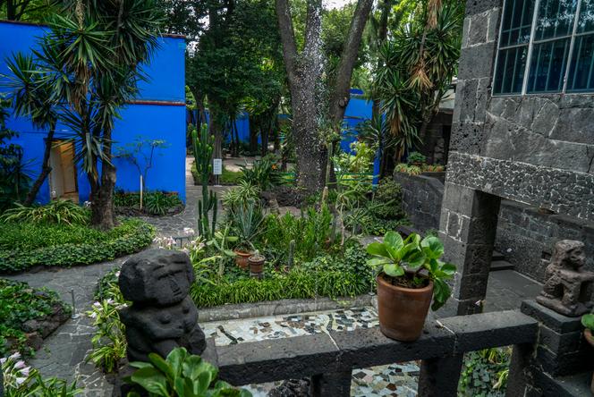 d4d1b607-d11e-432a-a3df-a0f83db75aeb L’Impact Botanique dans la Casa Azul de Frida Kahlo