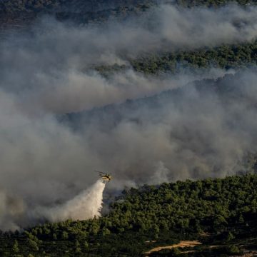 dc3ed953-bfb3-4f56-b5c5-bb56af147498 La Grèce face à des incendies dévastateurs en pleine saison touristique