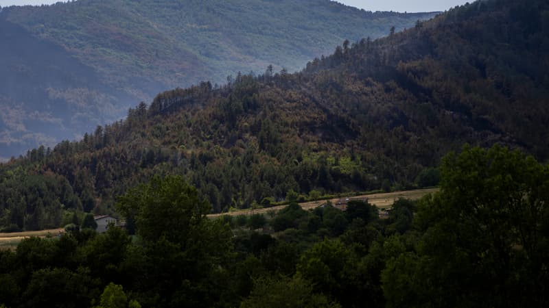 dd4a7d90-354d-4887-91ec-bbf52b75ff74 L’incendie dans la Drôme : situation stabilisée mais vigilance maintenue