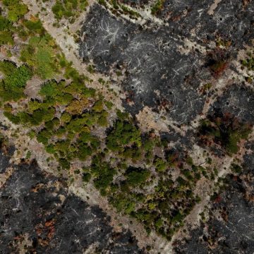 de2d5632-6044-45e7-bdaf-45ea05d3e6d1 Mesures de fermeture des massifs à cause des incendies