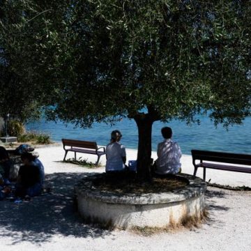 Canicules et Incendies en France : Alerte Météorologique