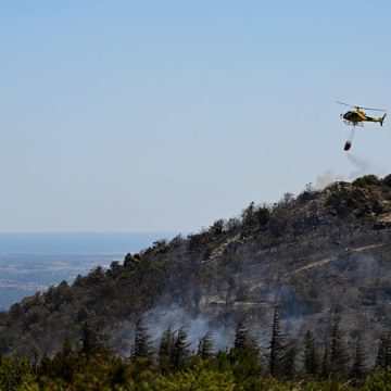 e70a02ee-cee0-44af-ad7d-85114d6f545e Les Incendies Dévastateurs dans les Pyrénées-Orientales : Analyse et Conséquences