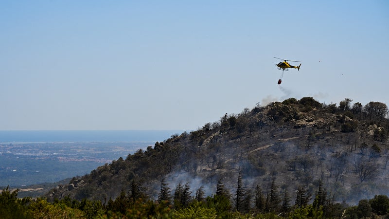 e70a02ee-cee0-44af-ad7d-85114d6f545e Les Incendies Dévastateurs dans les Pyrénées-Orientales : Analyse et Conséquences