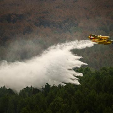 ec8a6678-d8ec-4caa-afcf-8891b88d1ca2 Incendie massif en Gironde : vers une amélioration de la situation
