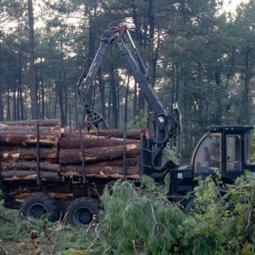 Controverse autour de la création d&rsquo;un pare-feu en Gironde